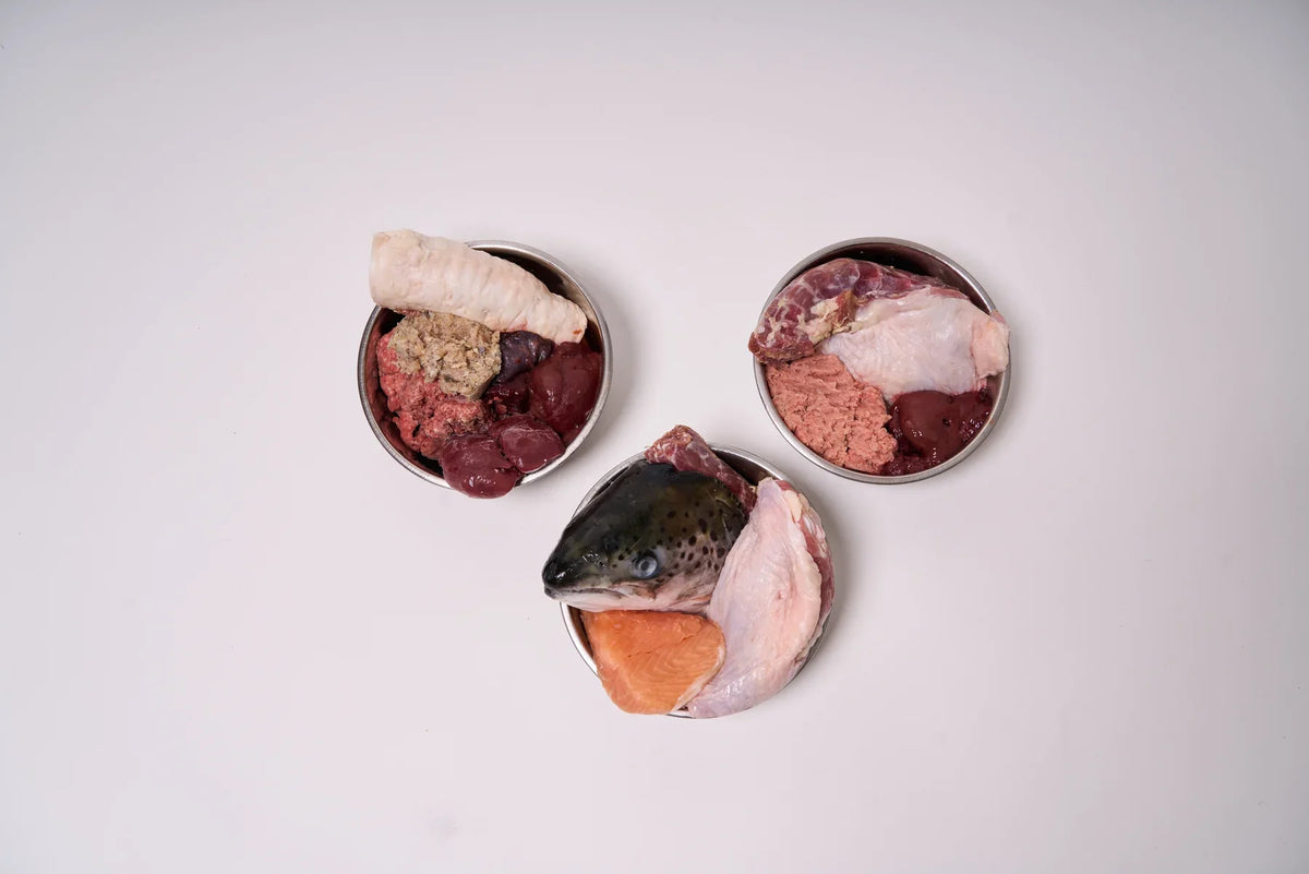 Three stainless bowls of varied raw food, including salmon and a fish head.