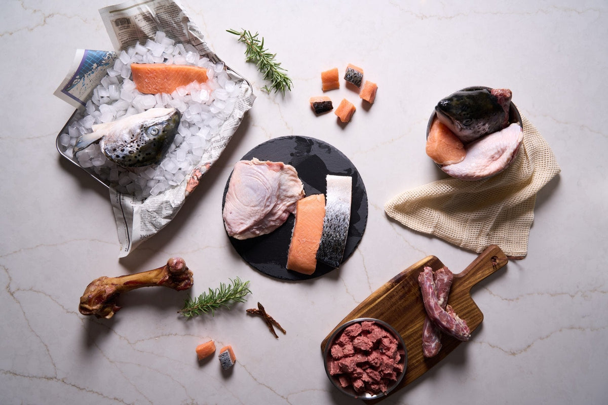 Salmon, poultry, bones, and a bowl of ground meat arranged on a kitchen worktop.