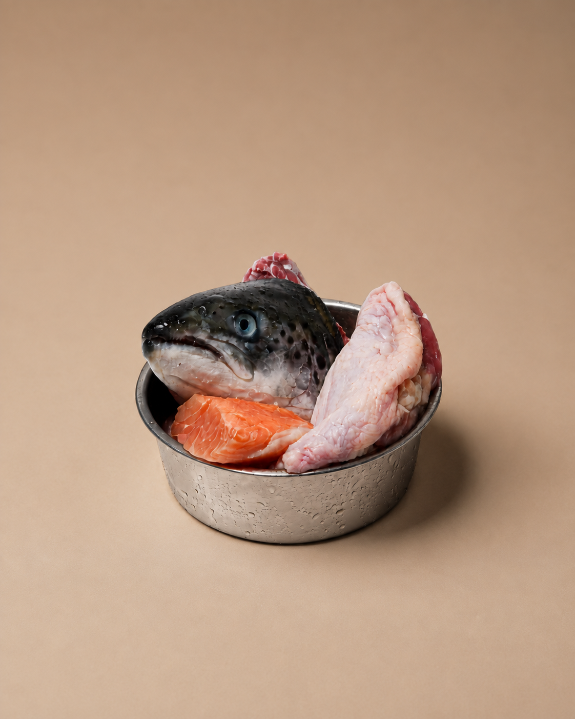 Raw Dawg Wild Blend - Turkey & Salmon