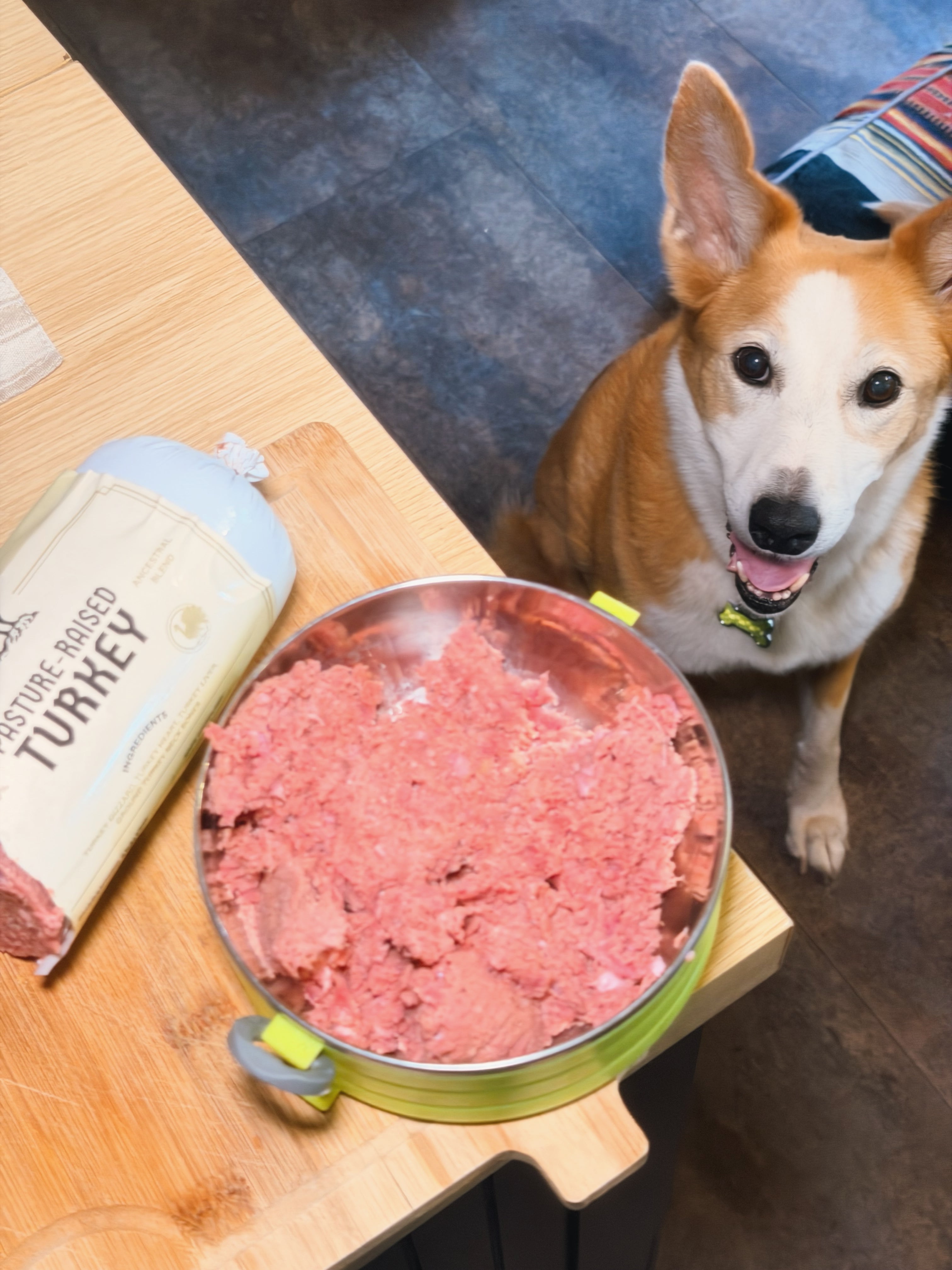 Raw Dawg Ancestral Blend pasture-raised turkey raw dog food