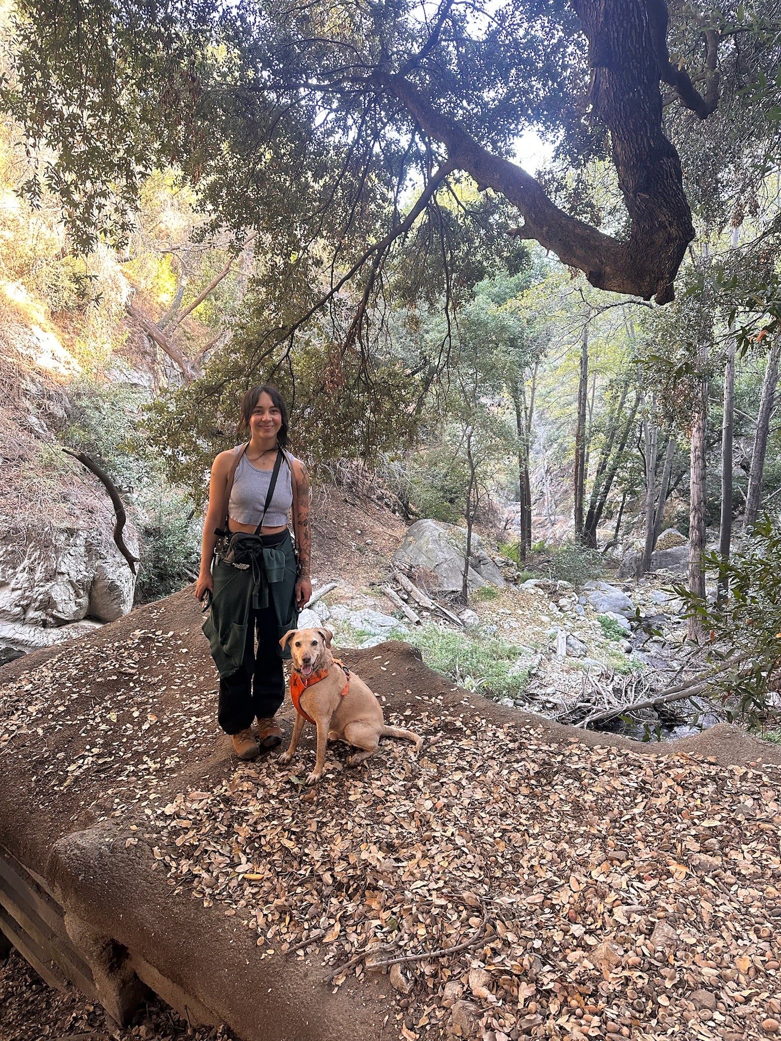 Bunga on a wooded trail