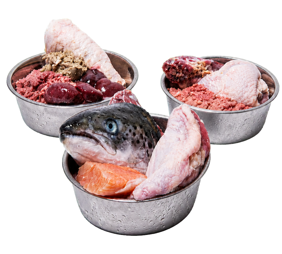 Three stainless-steel bowls filled with Raw Dawg raw blends