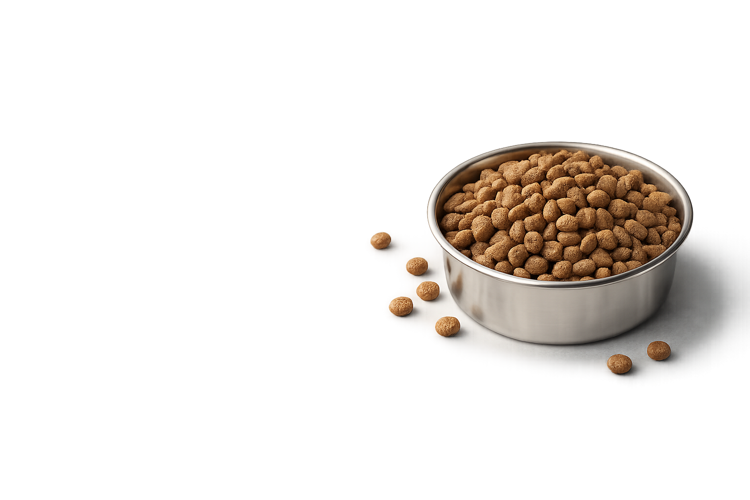 A stainless-steel bowl filled with dry kibble with a few scattered pieces